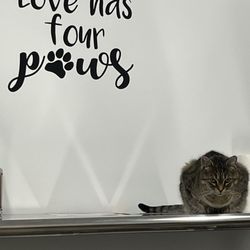 Critter Care - Welcoming committee!