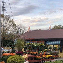Seven Maples Gift And Garden