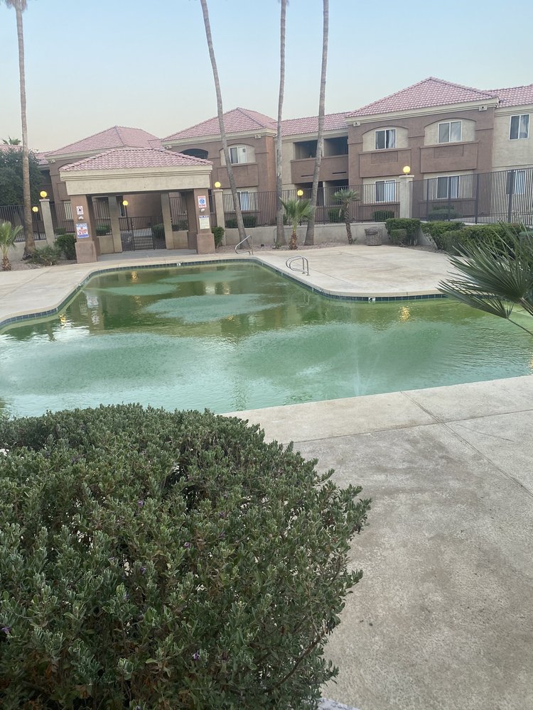 Palm Terrace - property management company in Chandler, AZ