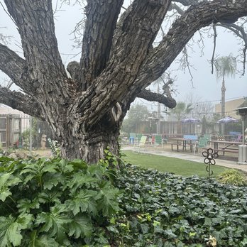 Monstera Coffee Studio - Outside - Coffee & Tea Near Me - Clovis, California