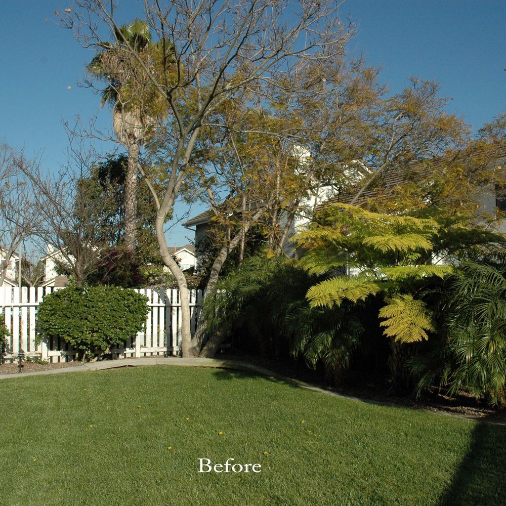 Smart Landscape - Landscaping Near Me - San Diego, California Smart Landscape - Landscaping Near Me - San Diego, California