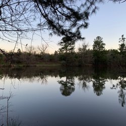Northeast District Park - Pond