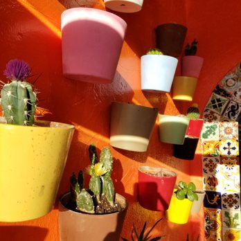 Telinga's Mexican Restaurant - Happy little cactus garden on the entry way wall. - Mexican Near Me - Murfreesboro, Arkansas Telinga's Mexican Restaurant - Happy little cactus garden on the entry way wall. - Mexican Near Me - Murfreesboro, Arkansas