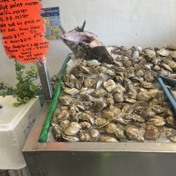 Monterey Fish Company - Oysters. - Seafood Markets Near Me - Monterey, California Monterey Fish Company - Oysters. - Seafood Markets Near Me - Monterey, California