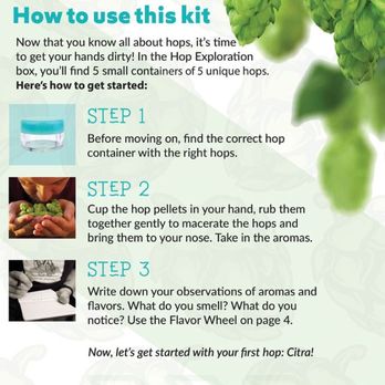 Beer Drop - Hop Exploration Box insert. Step-by-step guide. - Beer, Wine & Spirits Near Me - Denver, Colorado