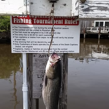 Mermaniac Chartered - Boat Charters Near Me