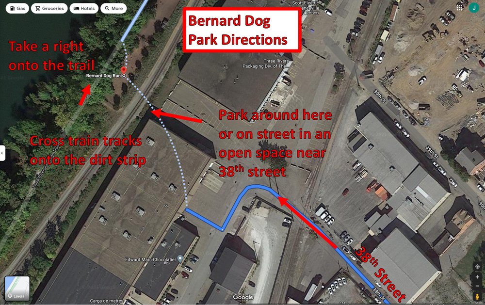 Bernard Dog Run