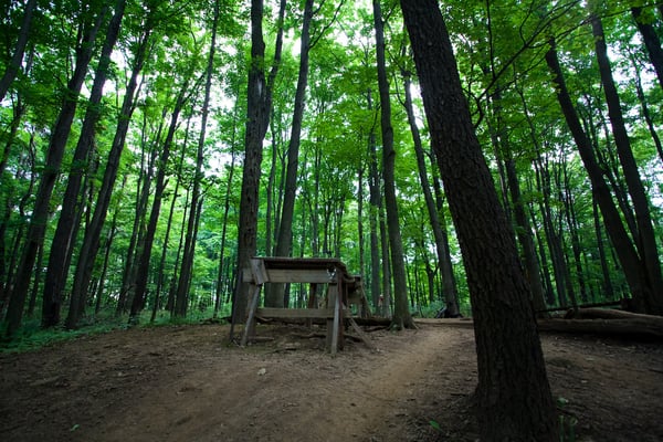 Kelso Conservation Area by null