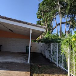 Acosta Tree Service - Trimmed trees and no mess on the ground. Great work!