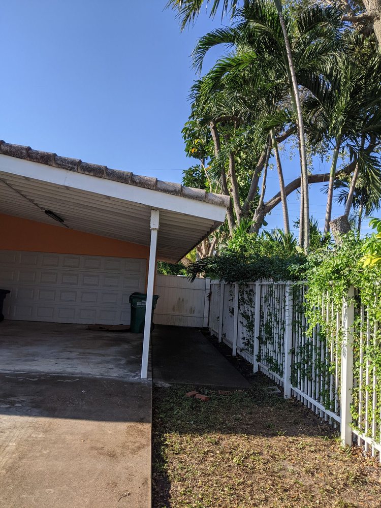 Acosta Tree Service - tree service in Miami, FL