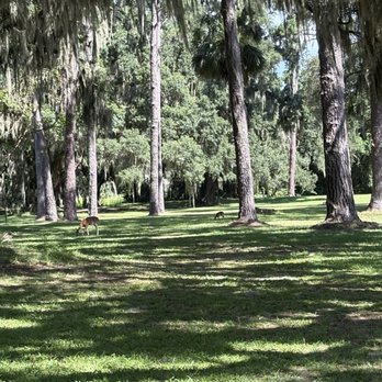 Fort Frederica National Monument - Landmarks & Historical Buildings Near Me - St. Simons, Georgia