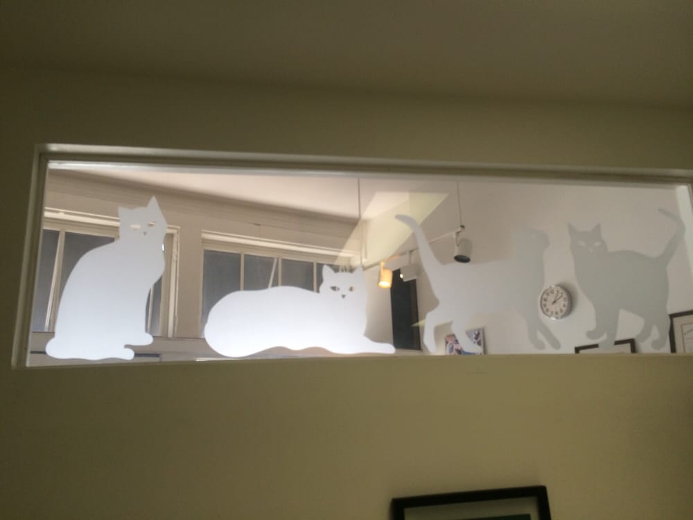 CAT CLINIC OF LOUISVILLE 12 Reviews Veterinarians 627 Baxter Ave