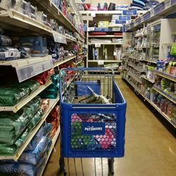 PetSmart Dog Training