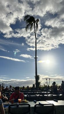 Myths of Maui luau by null