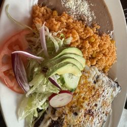 Maya's Taqueria - Pollo Enchilada