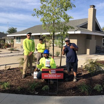 Moon Valley Nurseries - Sisso tree put in by the guys at Moon Valley Nurseries Chino. Thank you Andres, Joel, Matt P., and Chris F. - Tree Services Near Me - Chino, California Moon Valley Nurseries - Sisso tree put in by the guys at Moon Valley Nurseries Chino. Thank you Andres, Joel, Matt P., and Chris F. - Tree Services Near Me - Chino, California