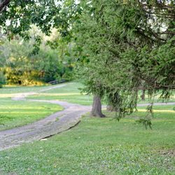 Shady Oaks Park