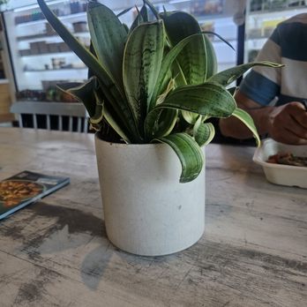 Everytable - Salad Near Me - Compton, California