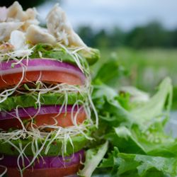 Eggmann's Eatery - Fresh Lump Crab Meat atop an Avocado, Tomato and Red Onion Stack