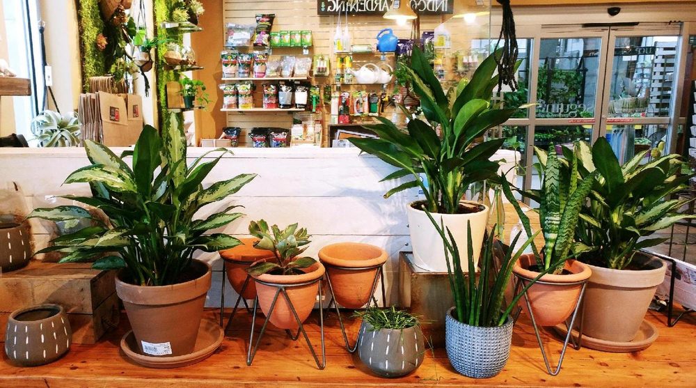 SEGUIN GARDENS & GIFTS Updated August 2024 21 Photos & 19 Reviews