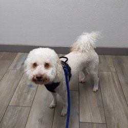 Melrose Veterinary Hospital