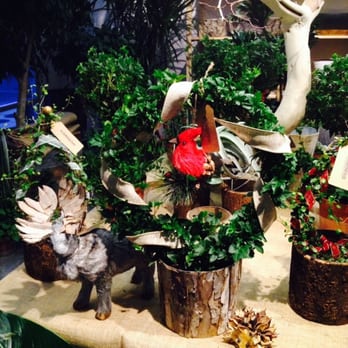 Interior Gardens - Holiday gifts ready to go - Nurseries & Gardening Near Me - Las Vegas, Nevada Interior Gardens - Holiday gifts ready to go - Nurseries & Gardening Near Me - Las Vegas, Nevada