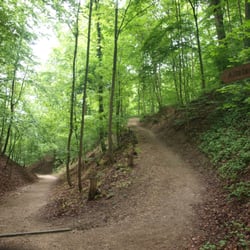 Hofgarten mit Tiergehege - Ganz schön steil, der Weg zur Burg