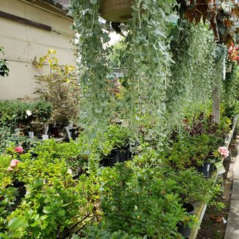 Walter Andersen Nursery - Nurseries & Gardening Near Me - San Diego, California Walter Andersen Nursery - Nurseries & Gardening Near Me - San Diego, California