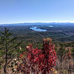Wolf Pit Trail - Lake James