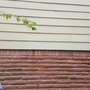 Photo of Texas Bee Removal