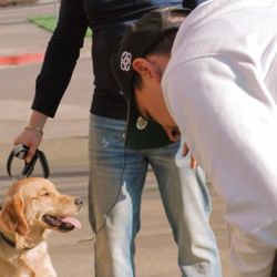 K-9 Nation - At K-9 Nation, we believe in positive reinforcement training. Your dog will thrive!