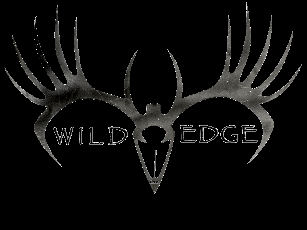 Wild Edge - taxidermy in East Haddam, CT