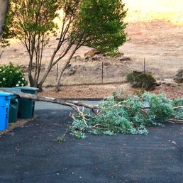 Tree branch blocked our driveway and crushed our yardwaste can. Tree branch blocked our driveway and crushed our yardwaste can.