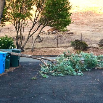 Ray's Tree Services - Tree branch blocked our driveway and crushed our yardwaste can. - Tree Services Near Me - Vallejo, California Ray's Tree Services - Tree branch blocked our driveway and crushed our yardwaste can. - Tree Services Near Me - Vallejo, California