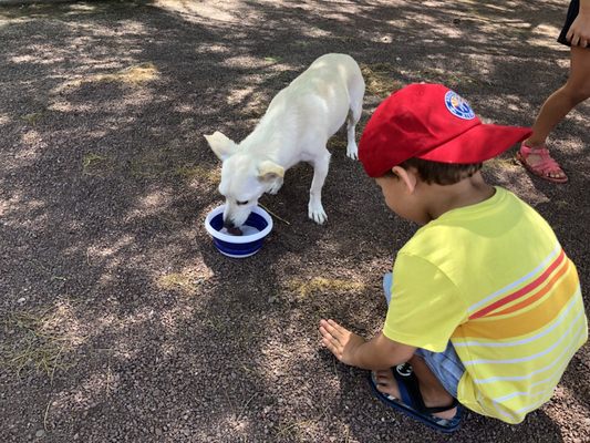 The Churchill by null