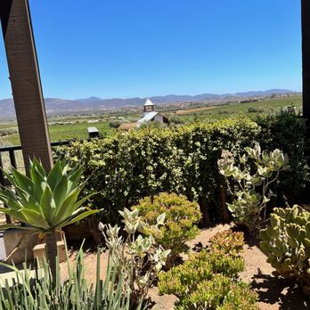 The Wine Route - Wine Tours Near Me - Ensenada, BCN