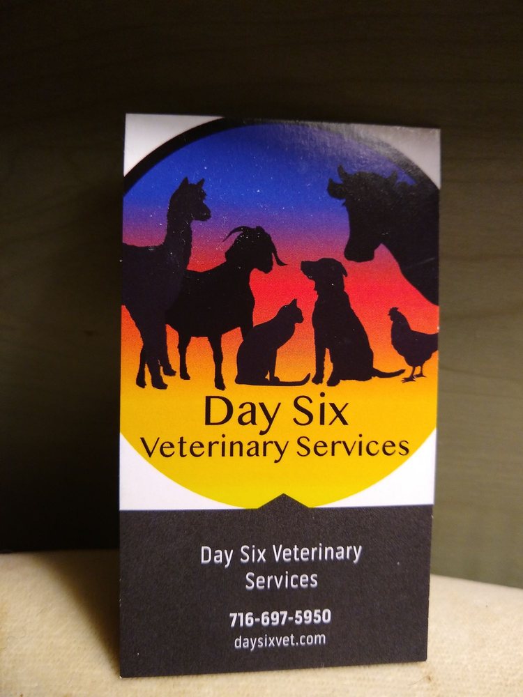 DAY SIX VETERINARY SERVICES Updated September 2024 Lockport, New