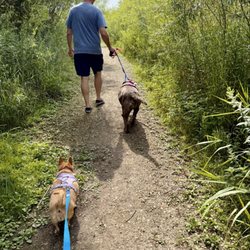 Springbrook Prairie Dog Park - This is how big this dog park is