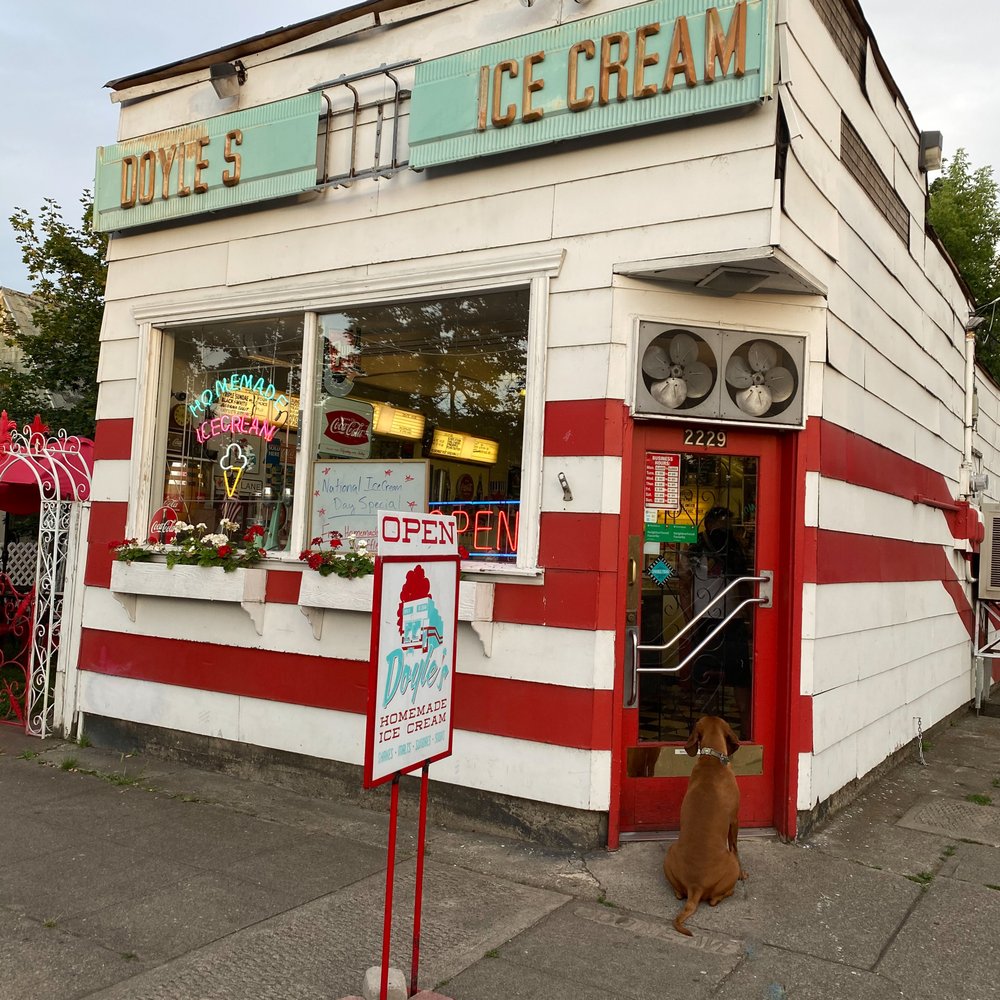 Doyle's Ice Cream Parlor - 10/10 pups agree, best ice cream in Spokane! - Ice Cream & Frozen Yogurt Near Me - Spokane, Washington Doyle's Ice Cream Parlor - 10/10 pups agree, best ice cream in Spokane! - Ice Cream & Frozen Yogurt Near Me - Spokane, Washington