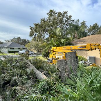 Lamb Tree Care - Tree Services Near Me - Sarasota, Florida