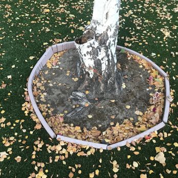 PaverScaping - tree ring 2 before - Landscaping Near Me