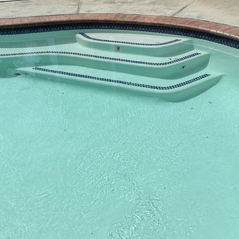 Gonzalez Pool Plastering - Added additional sea life tiles - General Contractors Near Me - Artesia, California Gonzalez Pool Plastering - Added additional sea life tiles - General Contractors Near Me - Artesia, California