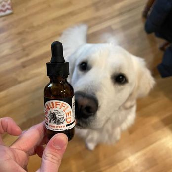 Bluegrass Hemp Oil - UNRUFFLED CBD Pet oil! - Vitamins & Supplements Near Me - Lexington, Kentucky Bluegrass Hemp Oil - UNRUFFLED CBD Pet oil! - Vitamins & Supplements Near Me - Lexington, Kentucky