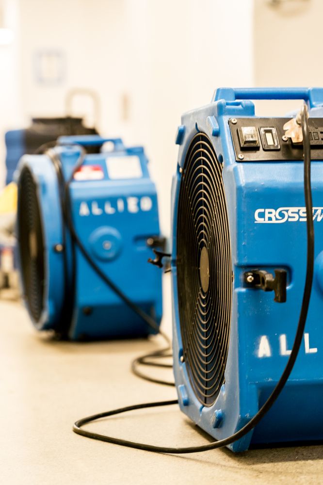 Allied Restoration - mold inspector in San Francisco, CA