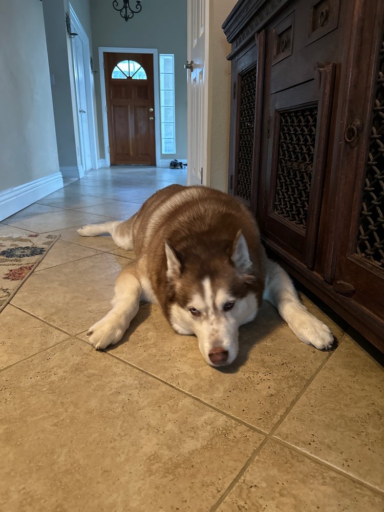 OOH LA LA DOG SPAW Updated October 2024 147 Photos & 76 Reviews