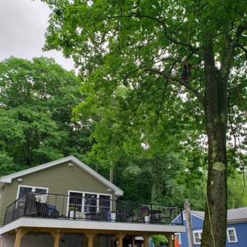 Redemption Tree & Landscape - We'll get the job done safely, by using special roping techniques that assure the preservation of your property. - Tree Services Near Me - Oakham, Massachusetts Redemption Tree & Landscape - We'll get the job done safely, by using special roping techniques that assure the preservation of your property. - Tree Services Near Me - Oakham, Massachusetts