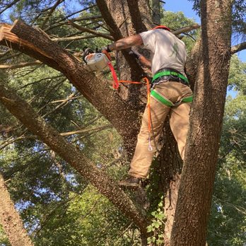 WLR Outdoor Services - Tree Services Near Me WLR Outdoor Services - Tree Services Near Me