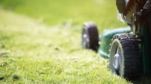 Gregory Lawn Care Service - tree service in Charlotte, NC