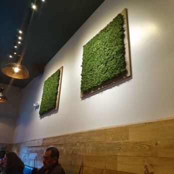 Karai Ramen + Handroll - Moss filled picture frames are pretty cool - Ramen Near Me - Springfield, Missouri