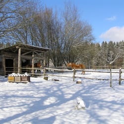 Ferienwohnung - Die Sommerhöfe
